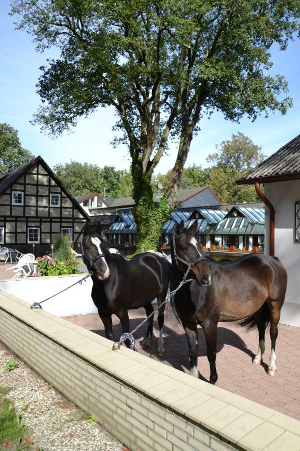 Landhotel Hof Barrl Schneverdingen Exterior photo